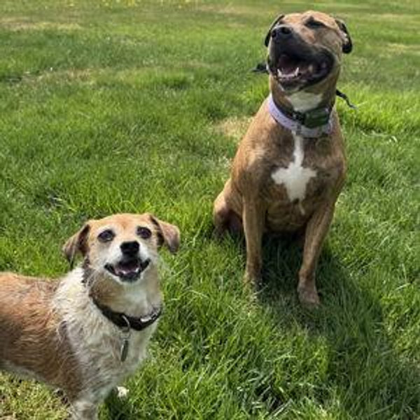Petey & Stella Fund