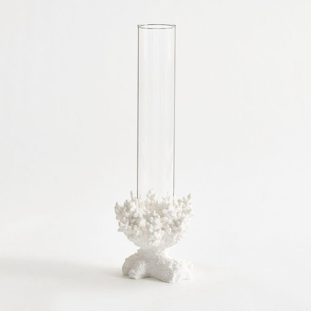Coral Candle Holders: White: Taper