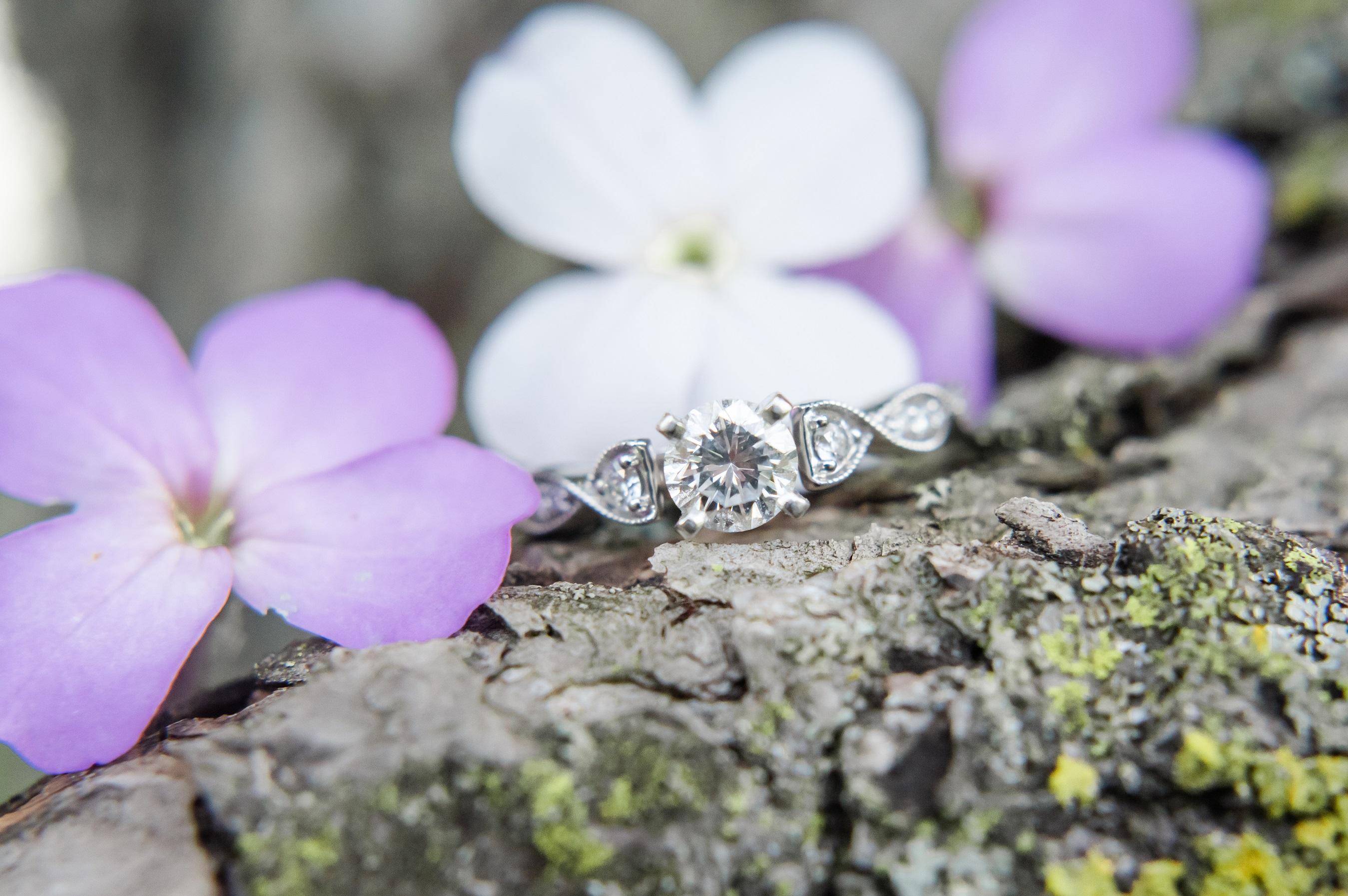 The Wedding Website of Theresa Chiconas and Justin Sund