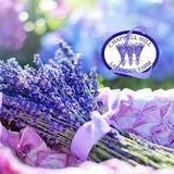Chappell Hill Lavender Farm
