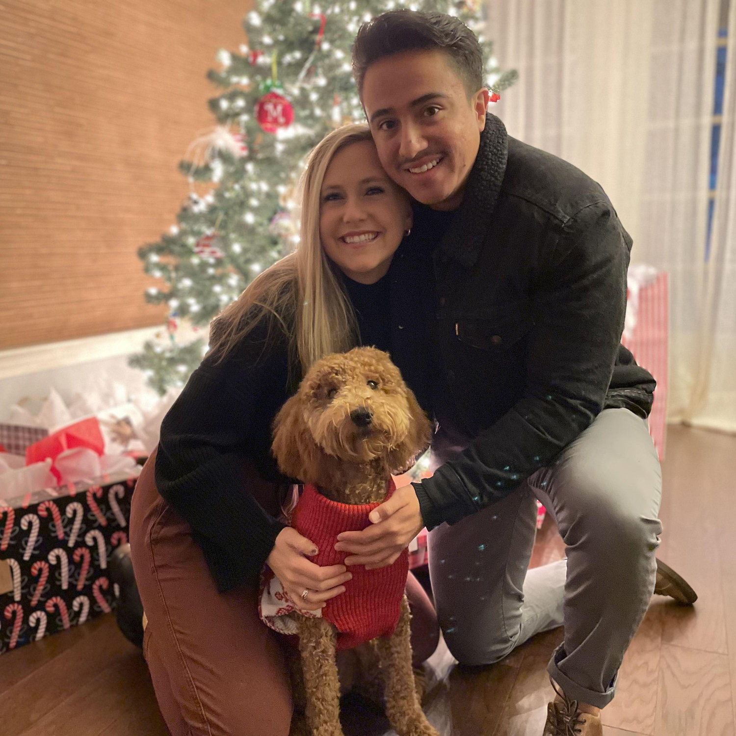 Our first Christmas with Harley!