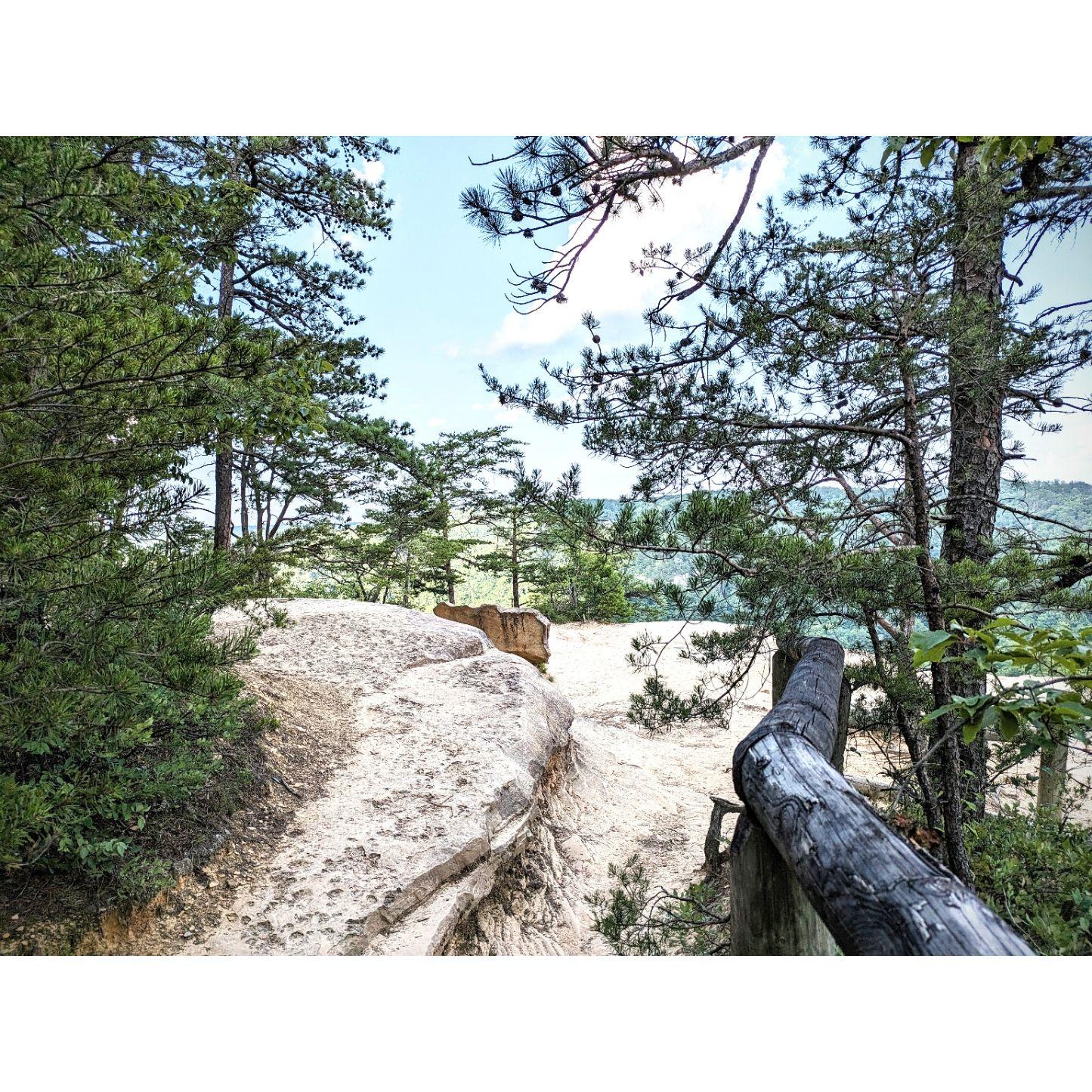 Here's the trail that opens out to the ceremony site.