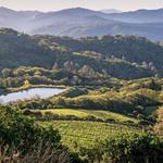 Local Wineries