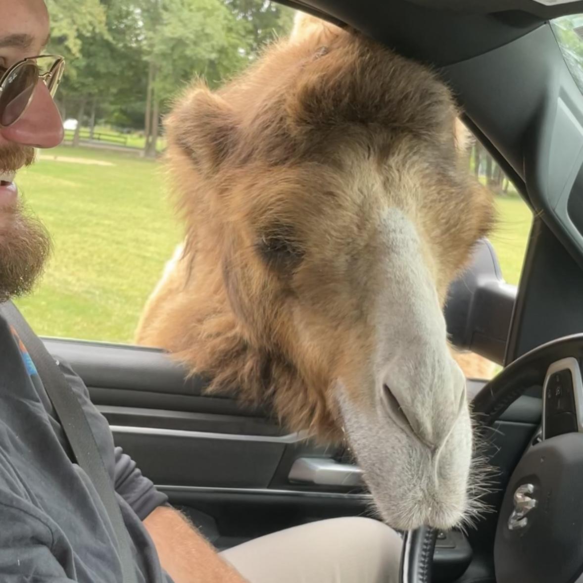 Zach made friends with a camel