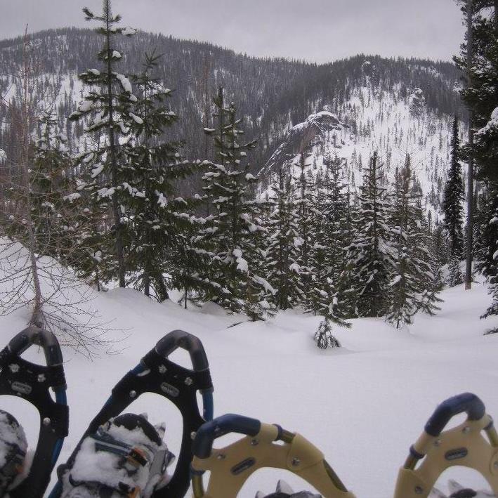 Showshoeing adventures in Montana are our favorite.
