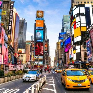 The NYC Chapter
