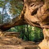 Red River Adventure Campground & Canoe Rentals