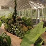 Dahlonega Butterfly Farm