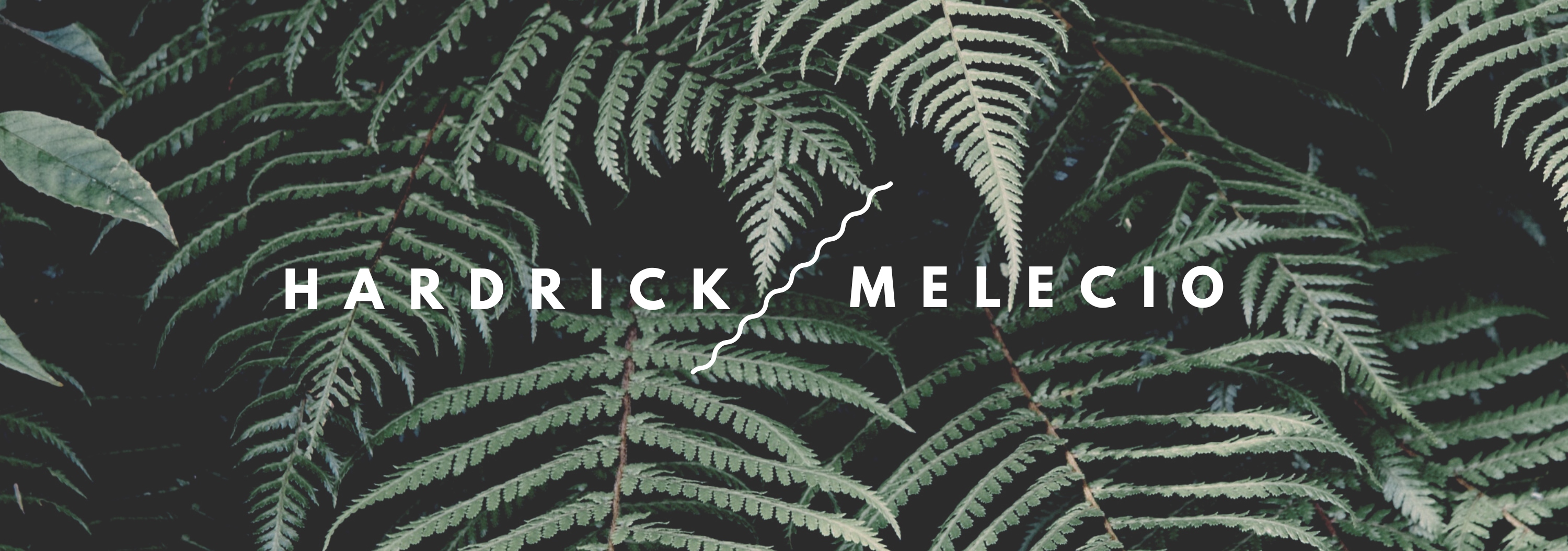 The Wedding Website of Ashlye Brieana Hardrick and Roberto Melecio-Lara