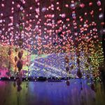 The Museum of Fine Arts, Houston