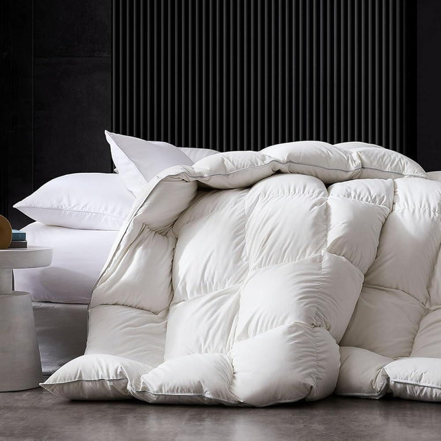 HOMELYSIAN Feather Down Comforter Queen Size, Queen Duvet Insert, 90x90 Feather Comforter