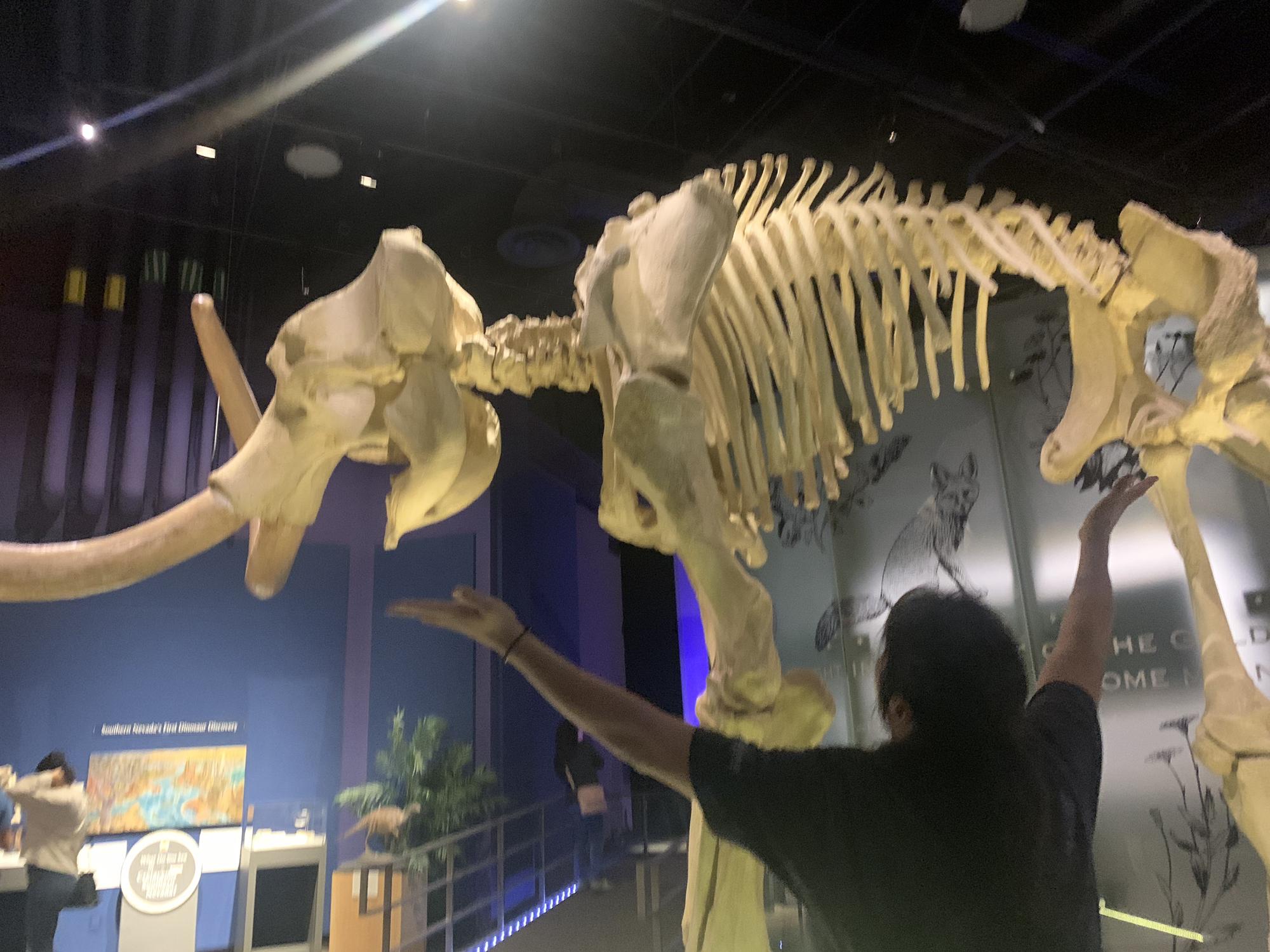 Praise the Mammoth!!