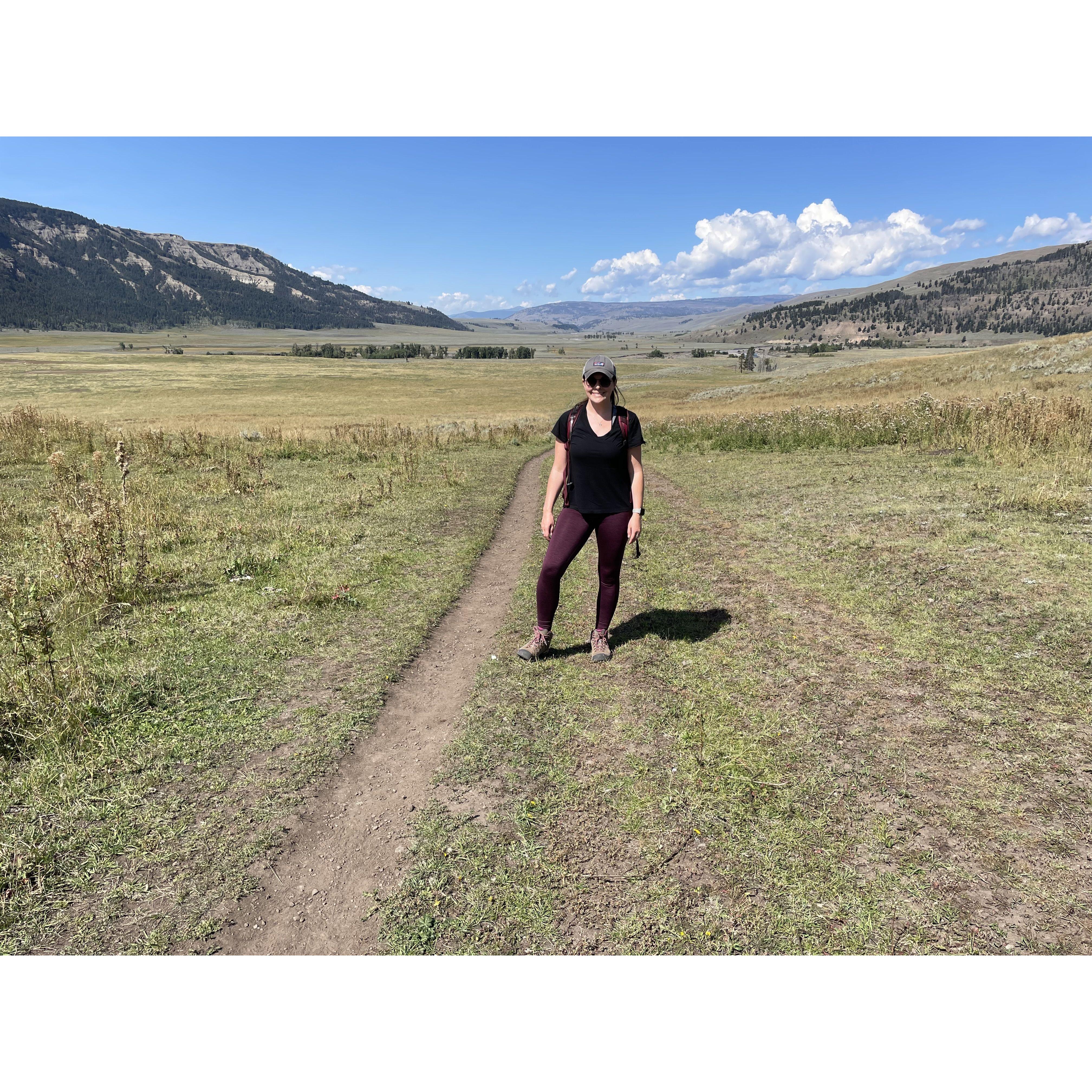 Lamar Valley, Yellowstone NP