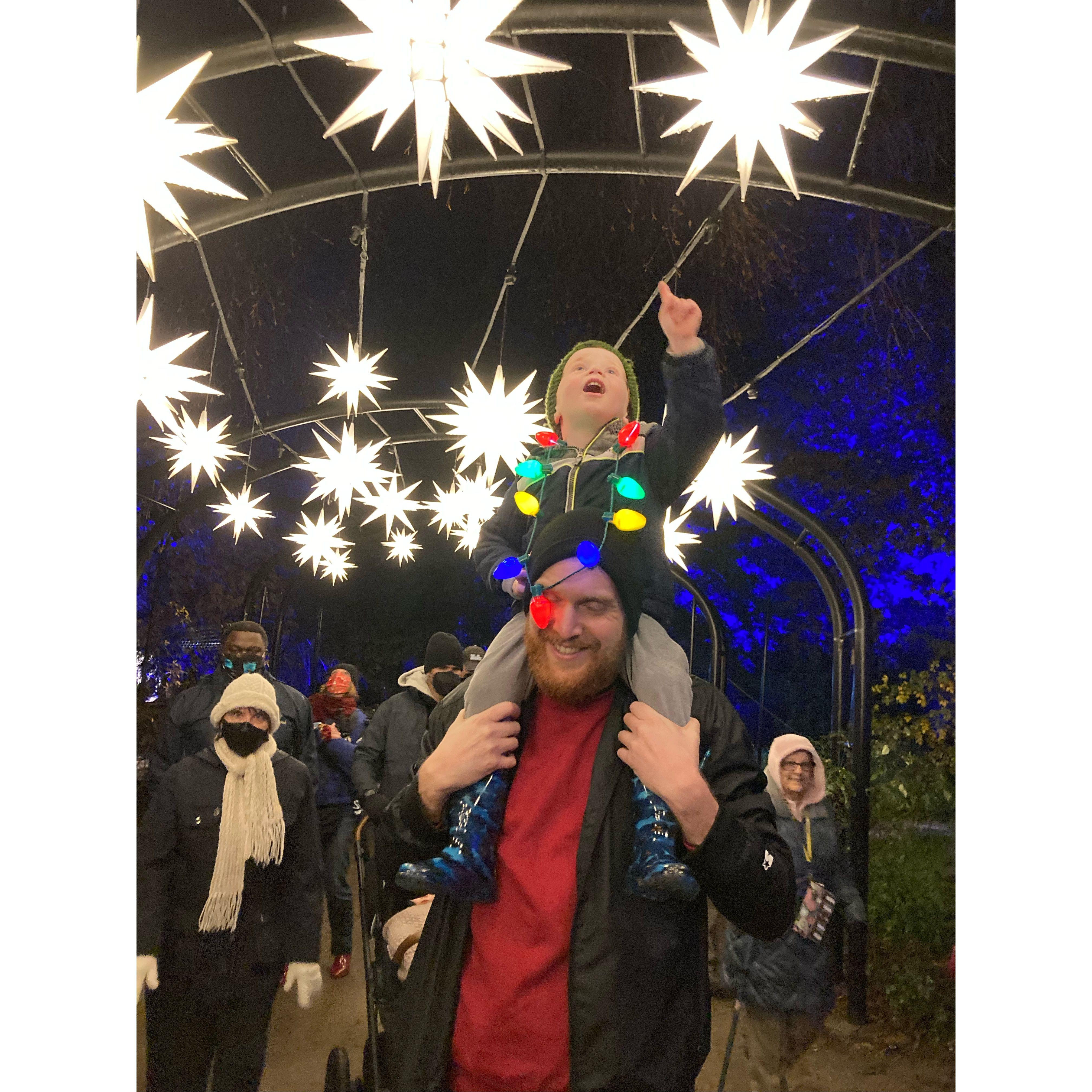 Christmas at Descanso Gardens