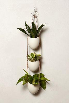 Leather-Latched Wall Planter