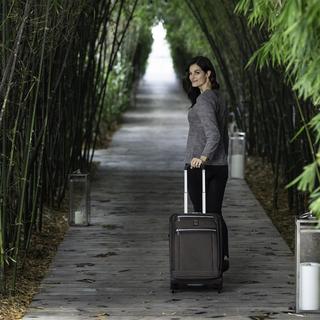 Platinum Elite International Expandable Carry-On Rollaboard