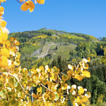 Gondola One from Vail Village