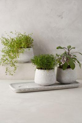 Netara Herb Planter Set