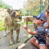 Fort Worth Zoo