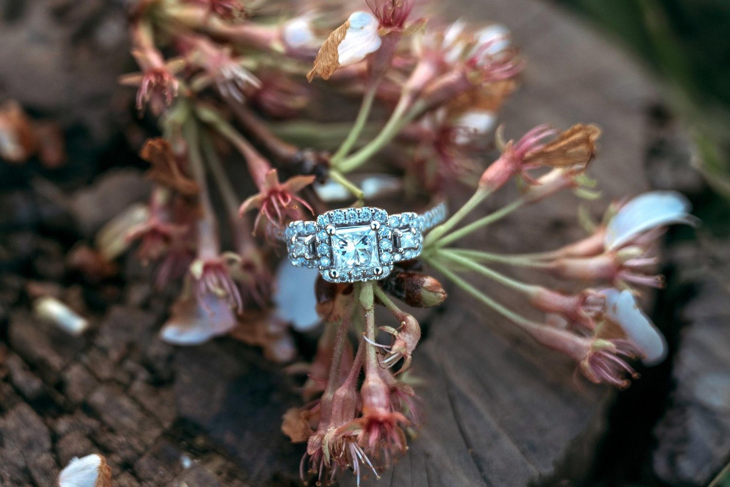 The Wedding Website of Alissa Abraham and Michael Rothacker Jr.