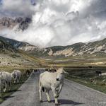 Campo Imperatore