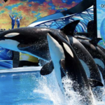 SeaWorld San Diego