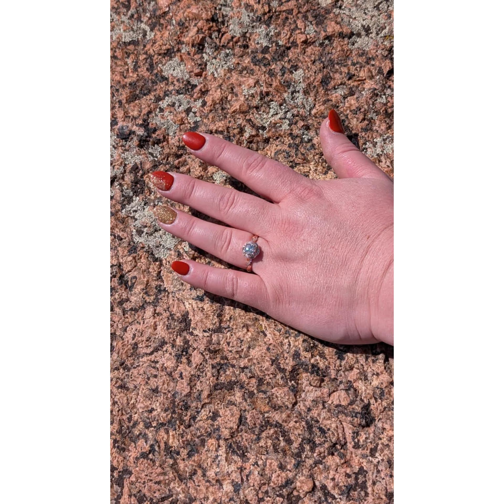 The "Rock" on the rock where he proposed!