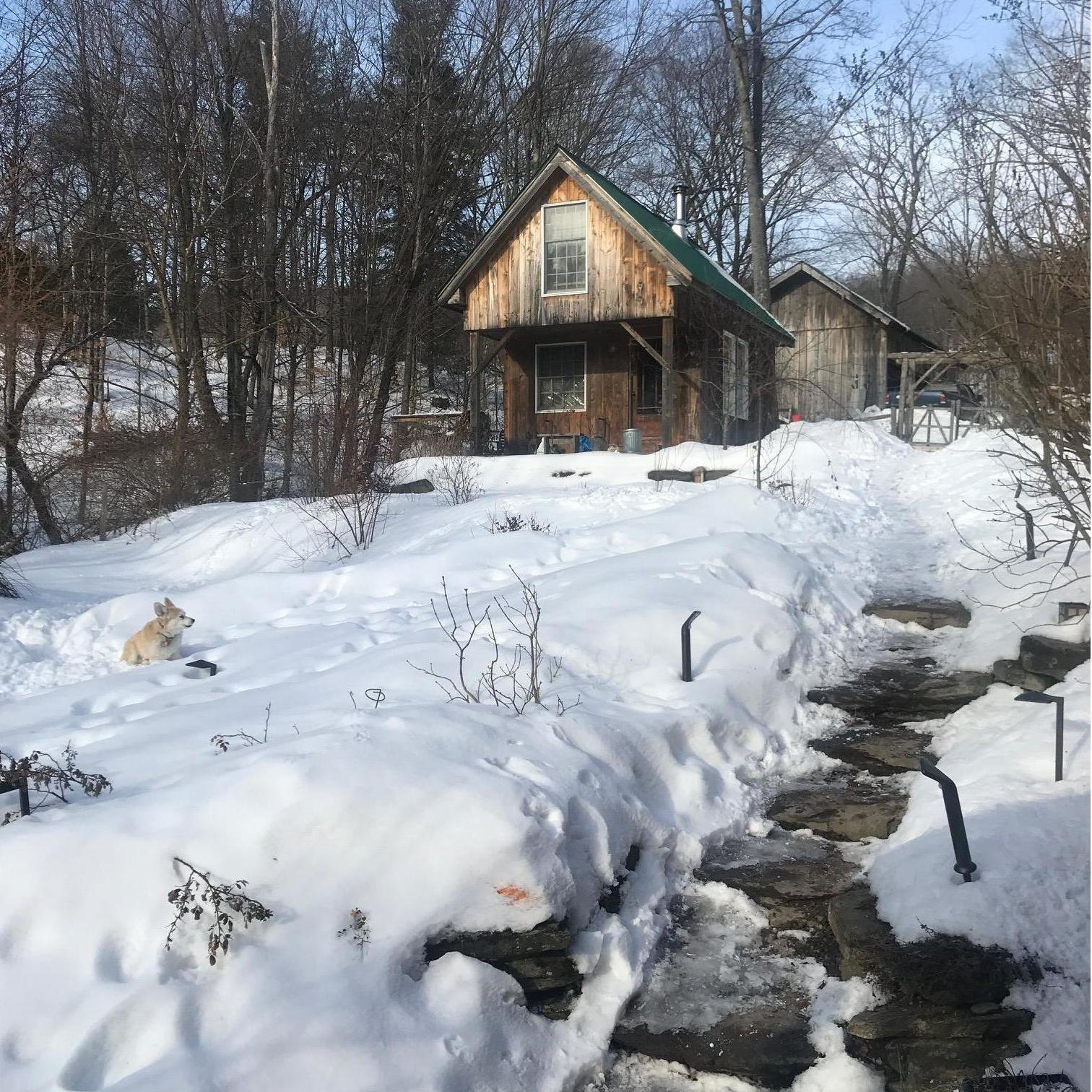 The snowy cabin where we got engaged.