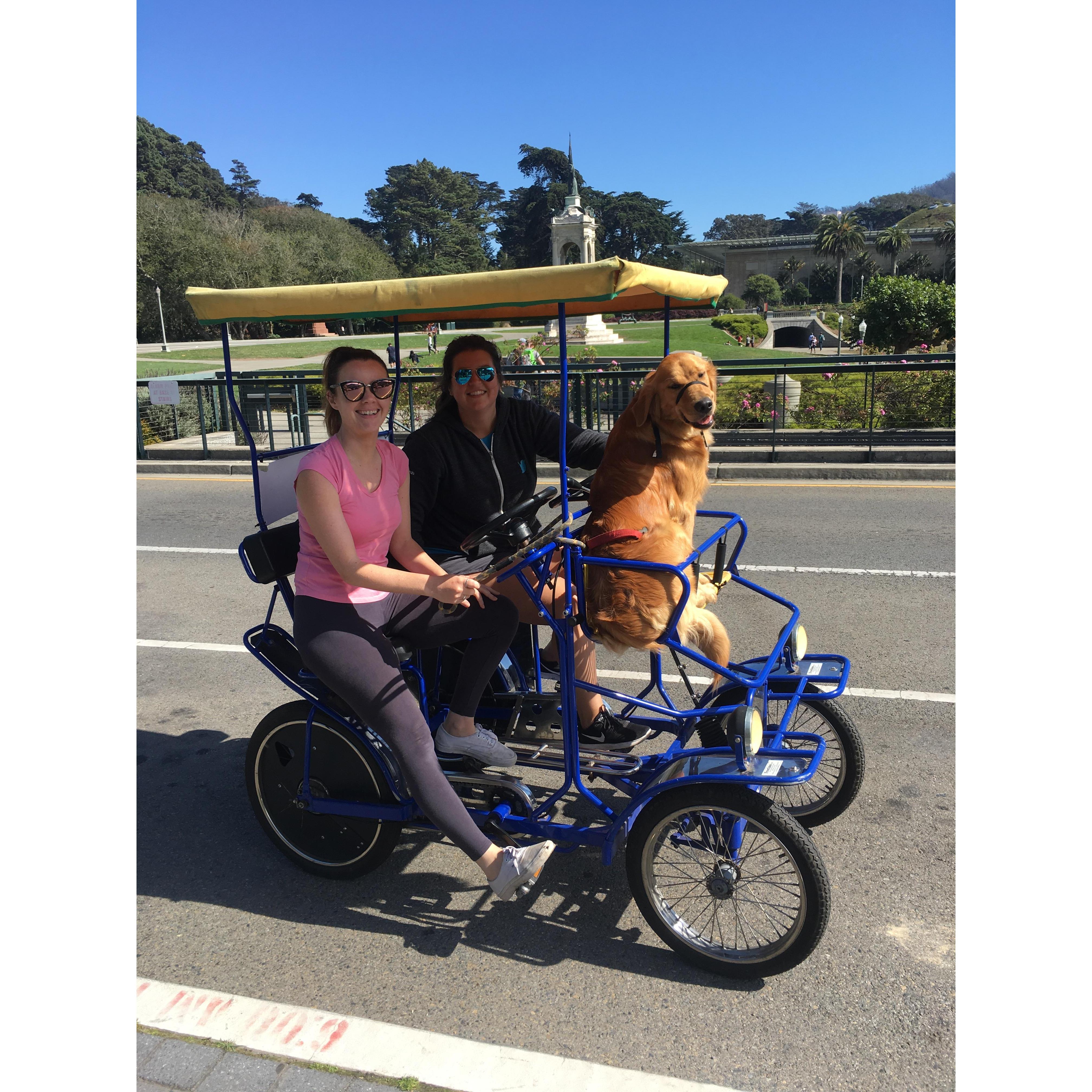 nothing to see here... just a jolly around Golden Gate Park