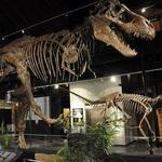 Houston Museum of Natural Science