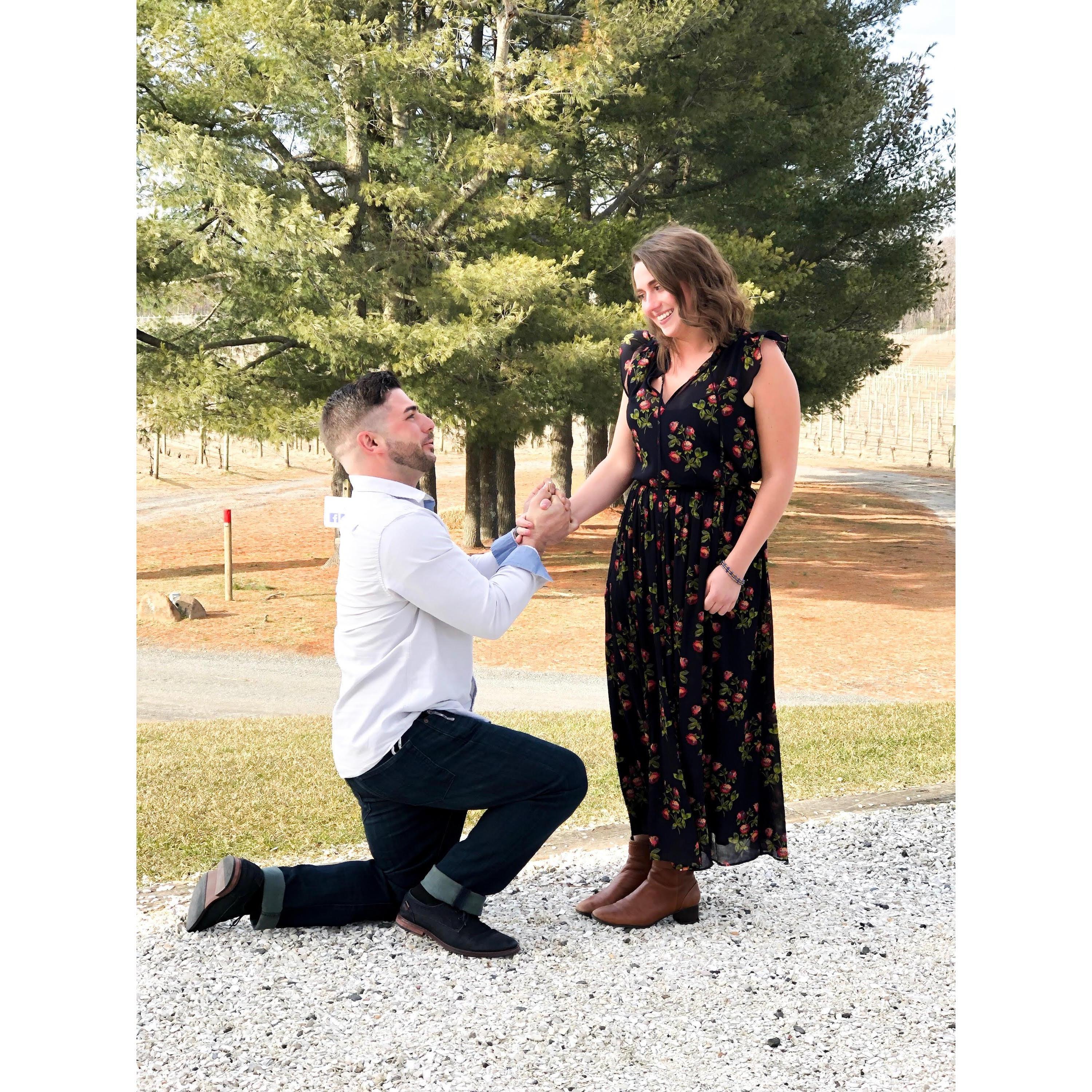 "Will you marry me"?