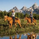 Horseback Riding