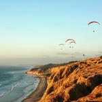 Torrey Pines State Reserve