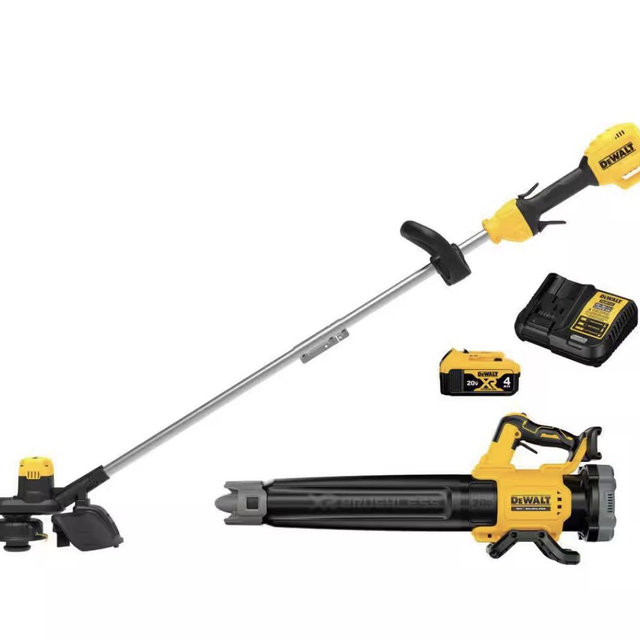 Dewalt Lawn Combo