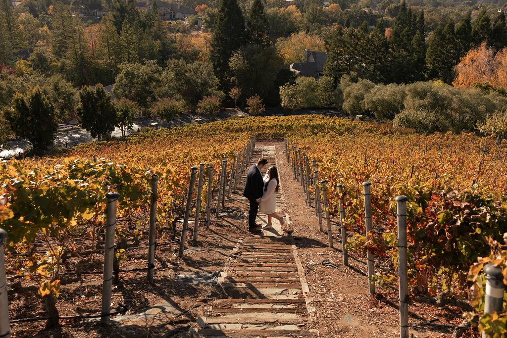 The Wedding Website of Julia Catherine Villano and Alexander William Cook