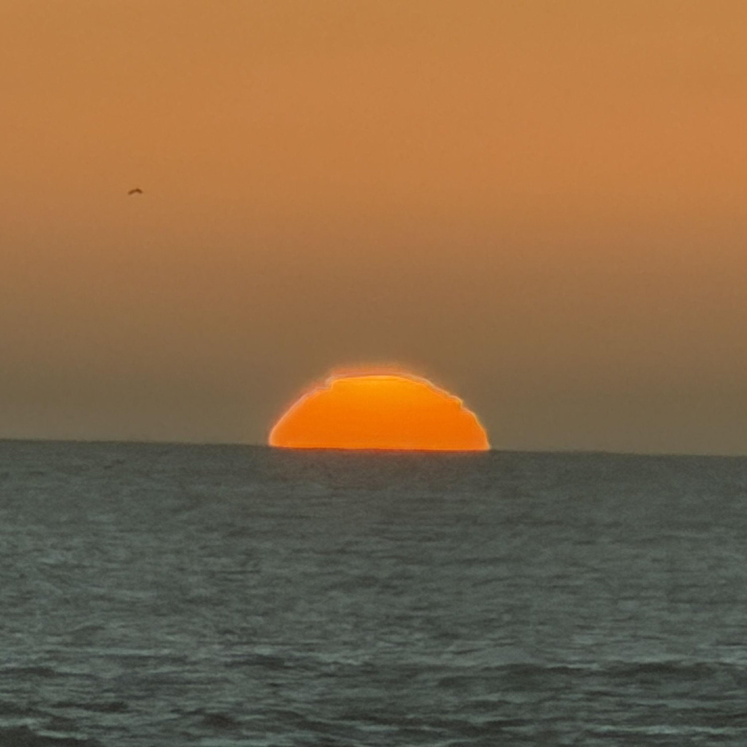 Caught this sunset right after the proposal