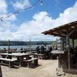 Hog Island Oyster Co