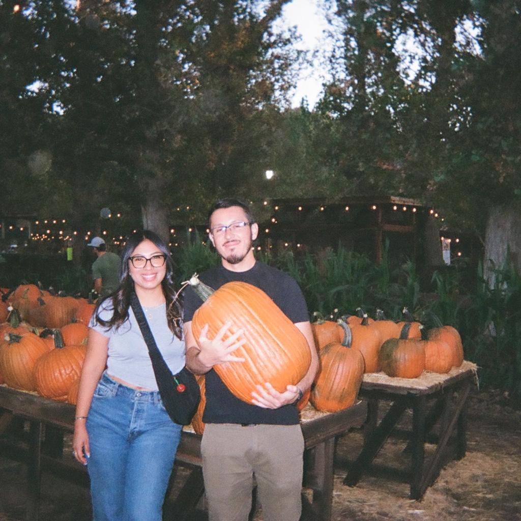 We almost brought this huge pumpkin home