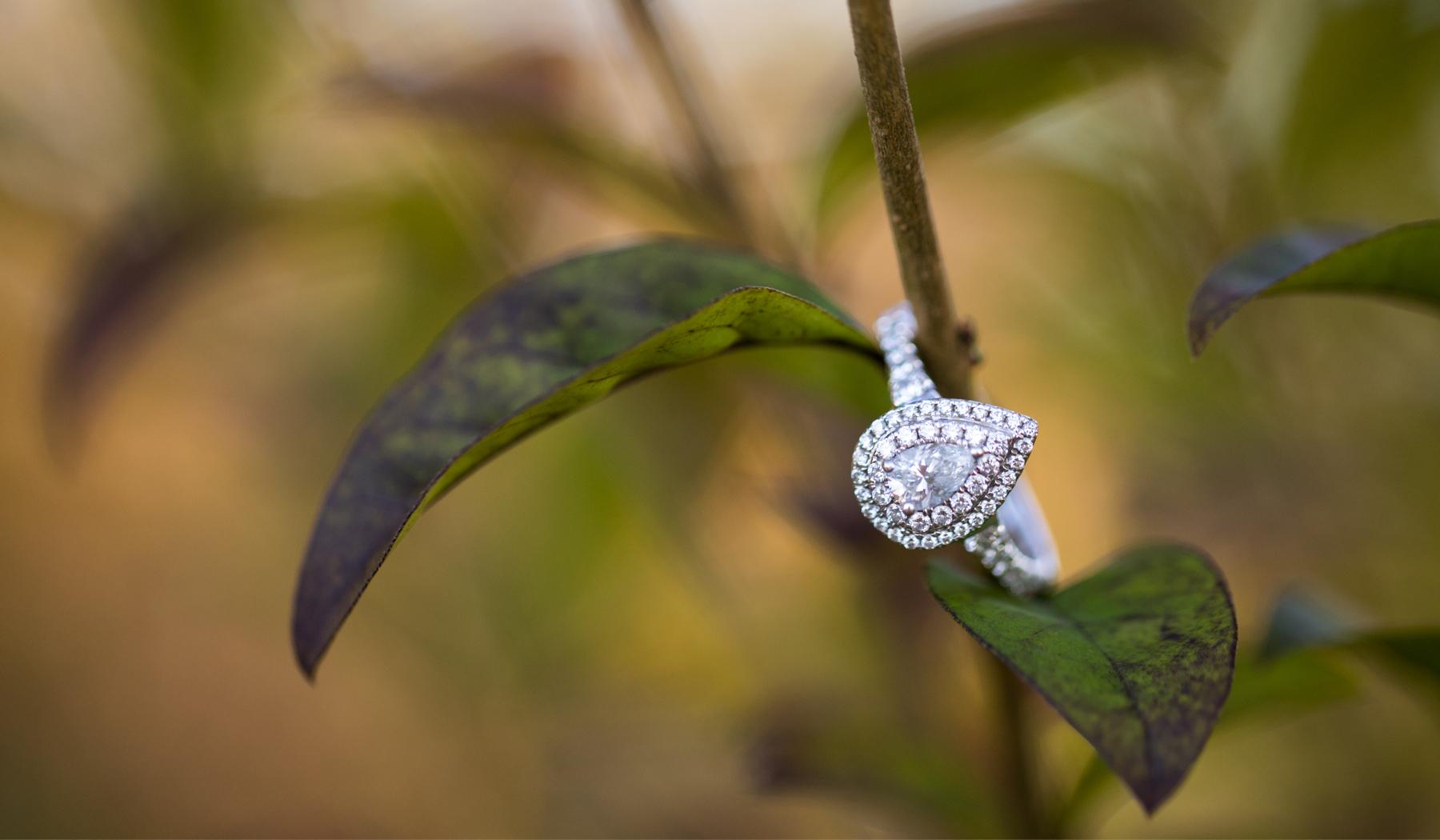 The Wedding Website of Miranda Black and Johnny McPhee