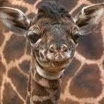 San Diego Zoo