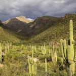 Sabino Canyon Recreation Area