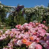 Arboretum