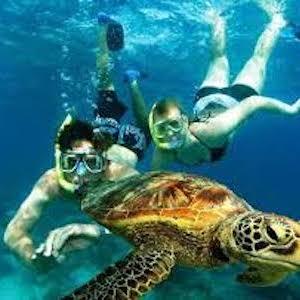 Wildlife Sanctuary Tours
