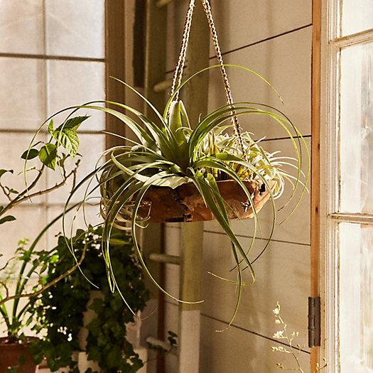 Carved Teak Hanging Basket Planter