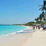 Scuba Diving and Snorkeling