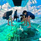 Clear Boat Experience