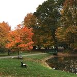 Local Hikes