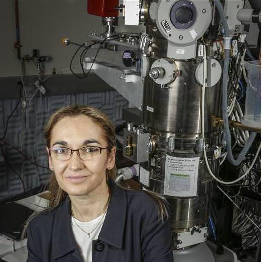 Her wo the mechanistic understanding of large macromolecular assemblies through the visualization, using cryo-electron microscopy, of their structure, dynamics and regulatory interaction