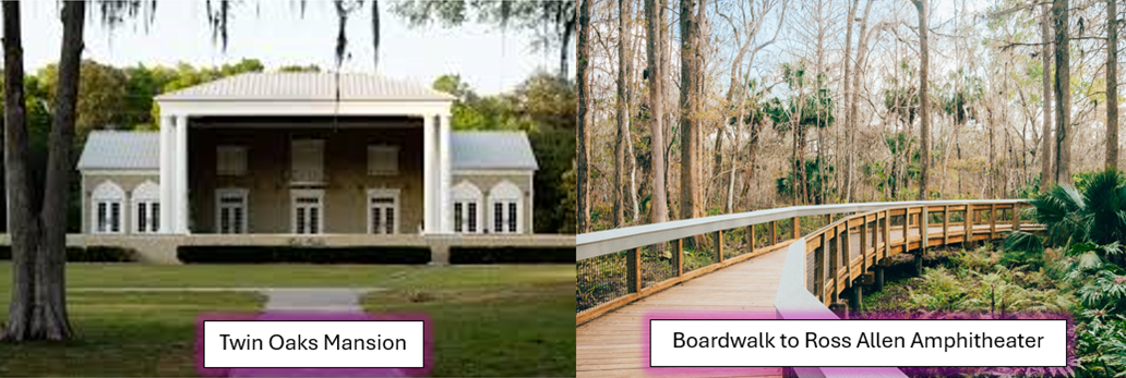 The Wedding Website of Lauren Gaczewski and Andrew Newton