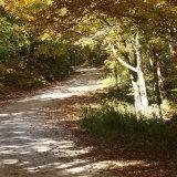 60km of Trails